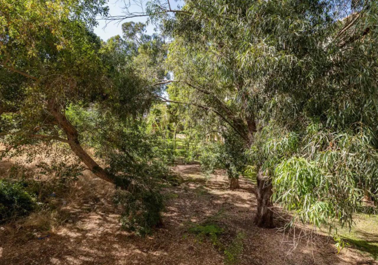 Central 1Br Oasis, Fast Fiber Wifi, Free Parking, Free Netflix With Shelter Haifa Exterior photo